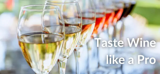 How to Taste Wine Like a Pro (Even If You're a Beginner)