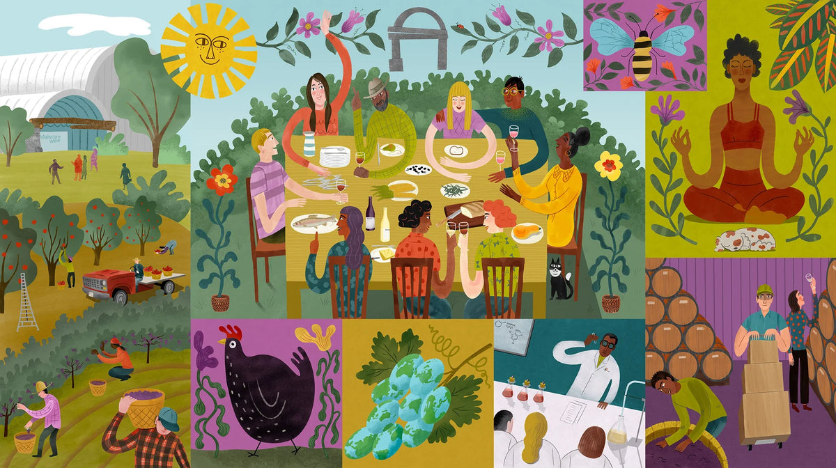 Malivoire Wine Company illustrated brand story
