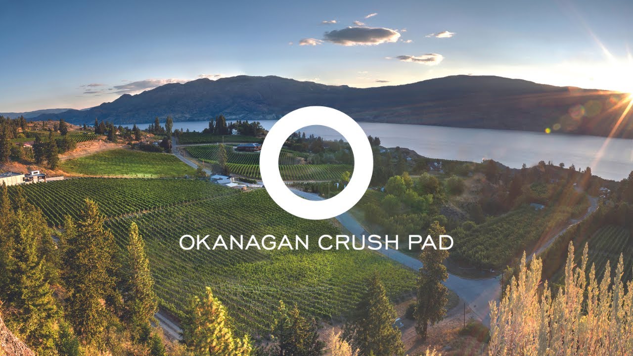 Vineyard with a lake and mountains in the background, featuring the 'Okanagan Crush Pad' logo.