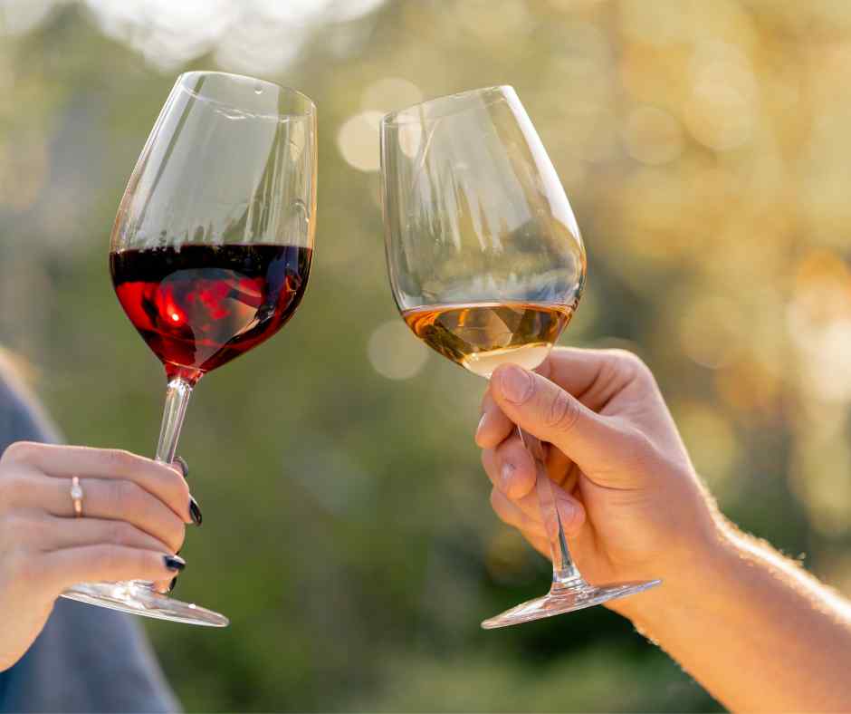 Couple holding red and white wine glasses and cheering