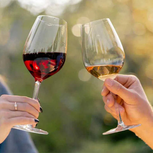 Couple holding red and white wine glasses and cheering