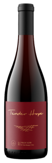 2019 Pinot Noir